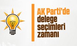 AK Parti'de delege seçimleri zamanı belli oldu