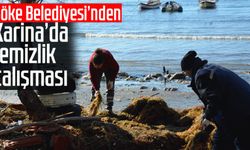 Söke Belediyesi’nden Karina'da temizlik çalışması
