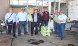 Erik sezonu sıkıntılı başladı