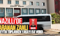 Nazilli'de aranan zanlıyı zeytin toplarken Jandarma enseledi