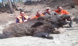 Karacasu Danimarkalı avcıları ağırladı