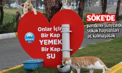 Söke’de pandemi sürecinde sokak hayvanları aç kalmayacak