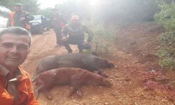 Karacasu, Almanları ağırladı