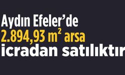 Efeler'de 2.894,93 m² arsa icradan satılıktır