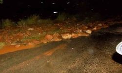 Karacasu’da zarar büyük