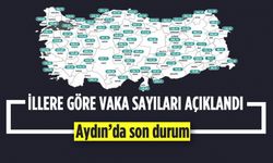 Aydın'da tam kapanma sonuç verdi