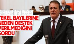 CHP’li Yıldız tekel bayilerine neden destek verilmediğini sordu