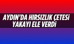 Aydın'da hırsızlık çetesi yakayı ele verdi