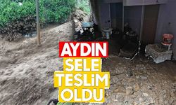 Aydın sele teslim oldu