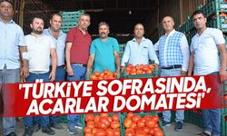'Türkiye sofrasında, Acarlar domatesi'