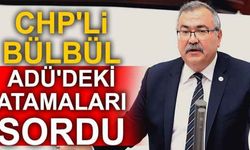 CHP'li Bülbül, ADÜ'deki atamaları sordu