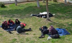 40 göçmen kaçamadan yakalandı