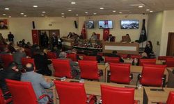 Efeler’de meydan ve bulvara, 'Zeytin Dalı' ismi verildi
