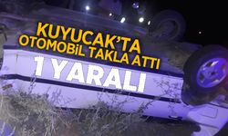 Kuyucak'ta trafik kazası; 1 yaralı