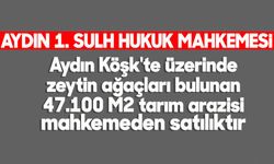 Aydın Köşk'te üzerinde zeytin ağaçları bulunan 47.100 M2 tarım arazisi mahkemeden satılıktır