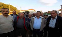 Zeytin para etmeyince, bedavaya dağıttılar