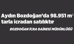 Aydın Bozdoğan'da 98.951 m² tarla icradan satılıktır