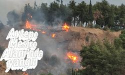 Aytepe Mesire Alanı’nda yangın