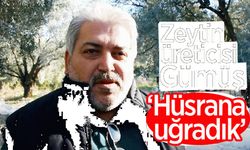 Zeytin üreticisi Gümüş: 'Hüsrana uğradık'