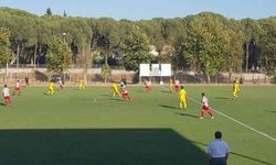 Köşk'ü 'Soylu' kardeşler sırtladı