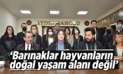'Barınaklar hayvanların doğal yaşam alanı değil'