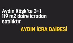 Aydın Köşk'te 3+1 119 m2 daire icradan satılıktır