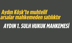 Aydın Köşk'te muhtelif arsalar mahkemeden satılıktır