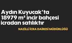 Aydın Kuyucak'ta 18979 m² incir bahçesi icradan satılıktır