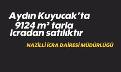 Aydın Kuyucak'ta 9124 m² tarla icradan satılıktır