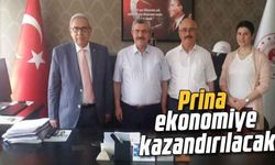 Prina, ekonomiye kazandırılacak
