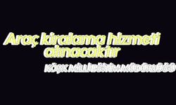 Araç kiralama hizmeti alınacaktır