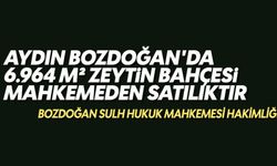 Aydın Bozdoğan'da 6.964 m² zeytin bahçesi mahkemeden satılıktır