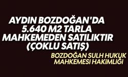 Aydın Bozdoğan'da 5.640 m2 tarla mahkemeden satılıktır (çoklu satış)