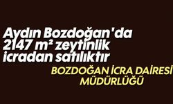 Aydın Bozdoğan'da 2147 m² zeytinlik icradan satılıktır
