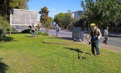 Didim Belediyesinden peyzaj düzenlemesi