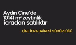 Aydın Çine'de 10141 m² zeytinlik icradan satılıktır