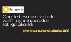 Çine'de besi damı ve tarla vasıflı taşınmaz icradan satılığa çıkarıldı