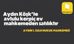 Aydın Köşk'te avlulu kerpiç ev mahkemeden satılıktır