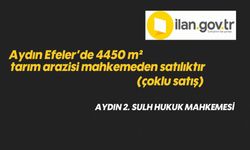 Aydın Efeler'de 4450 m² tarım arazisi mahkemeden satılıktır (çoklu satış)