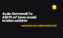 Aydın Germencik'te 43670 m² tarım arazisi icradan satılıktır