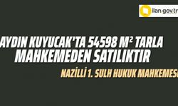 Aydın Kuyucak'ta 54598 m² tarla mahkemeden satılıktır