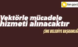Vektörle mücadele hizmeti alınacaktır