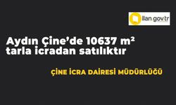 Aydın Çine'de 10637 m² tarla icradan satılıktır