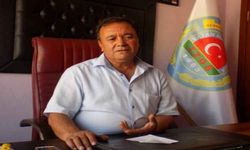 Dane zeytinde prim beklentisi, Fakıbaba'ya aktarıldı