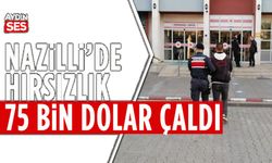 Nazilli'de hırsızlık