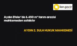 Aydın Efeler'de 6.450 m² tarım arazisi mahkemeden satılıktır