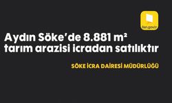 Aydın Söke'de 8.881 m² tarım arazisi icradan satılıktır