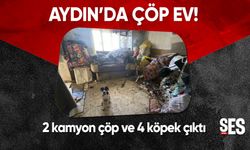 Aydın'da çöp ev!