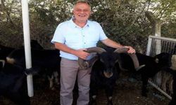 Büyükyapıcı’dan hayvan pazarına ziyaret