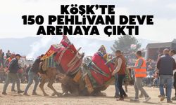 Köşk’te 150 pehlivan deve arenaya çıktı